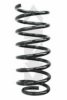 SPIDAN 48278 Coil Spring